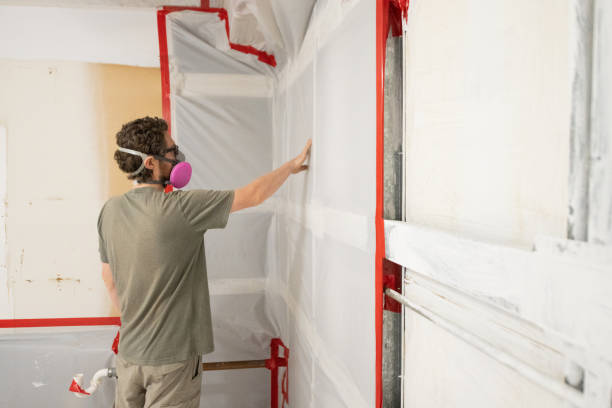 Best Mold Damage Restoration  in Bay St Louis, MS